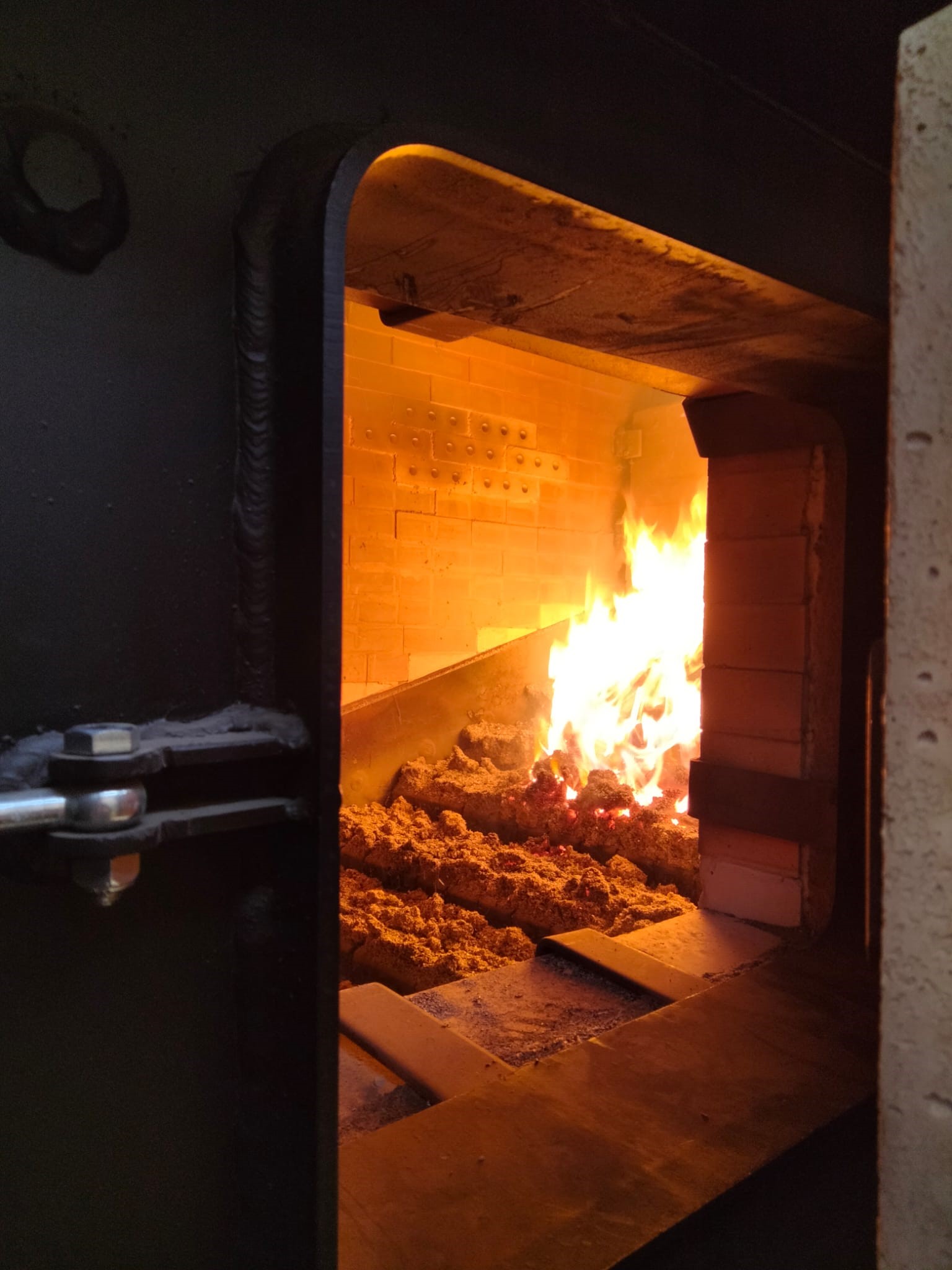 Palamista